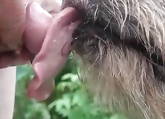 Slow-mo bestial deep throat pleasure