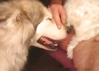 Disgusting amateur zoophilia with my doggy
